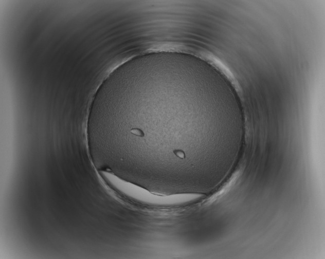 X0000091731041200709141221