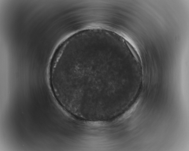 X0000091731045200709141221