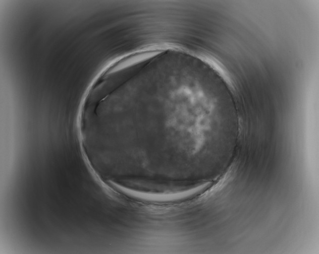 X0000091731046200709141221