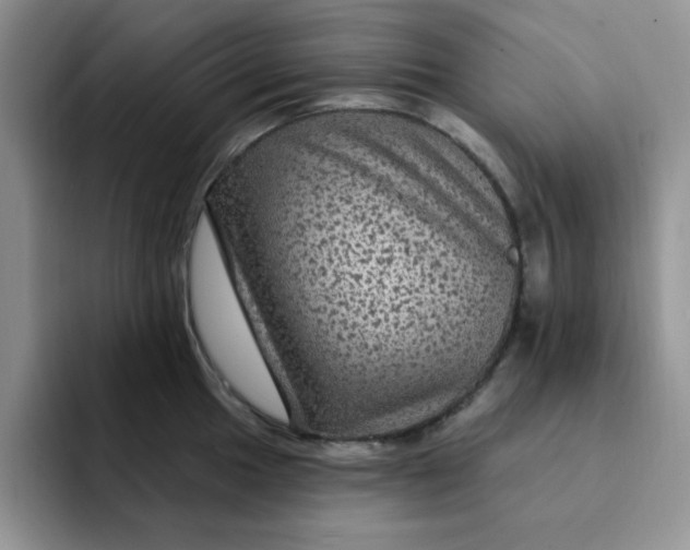 X0000091731049200709141221