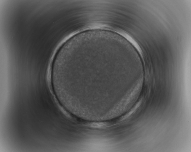 X0000091731053200709141222