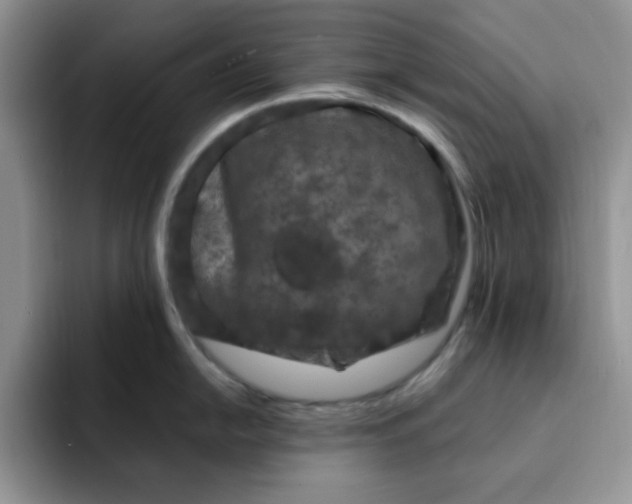 X0000091731054200709141222