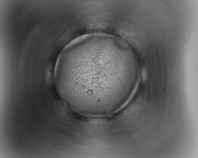 X0000091731059200709141221