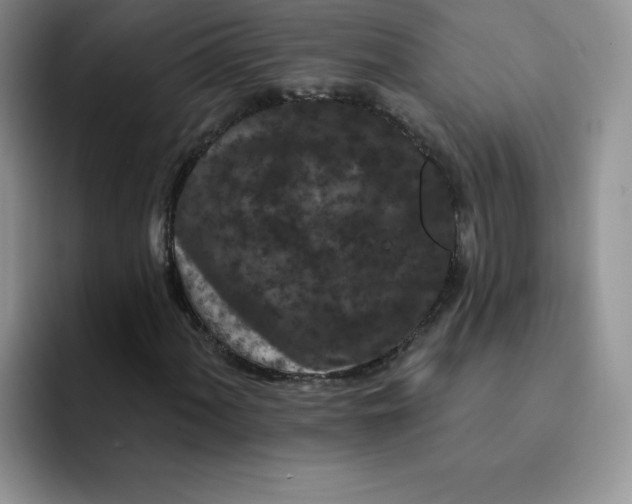 X0000091731060200709141221