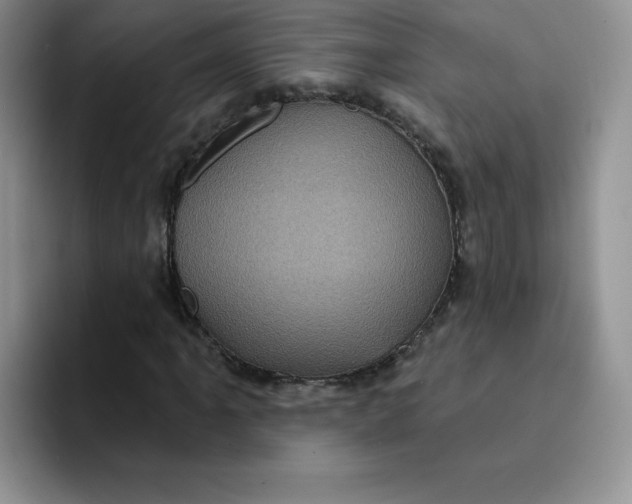 X0000091731061200709141221