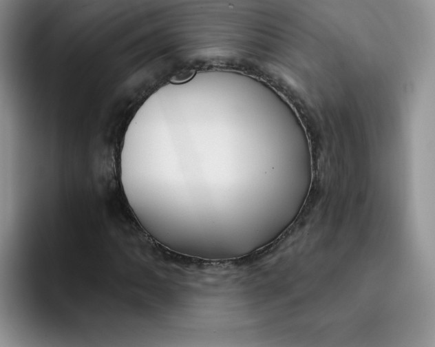 X0000091731062200709141221