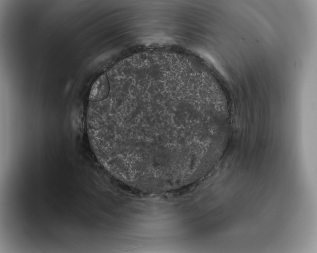 X0000091731063200709141221