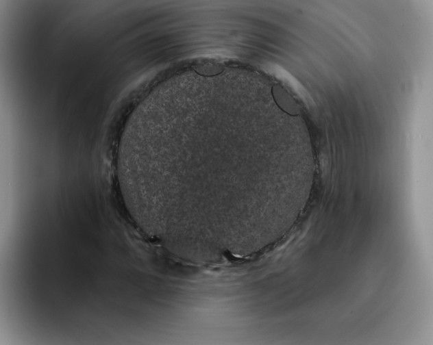 X0000091731064200709141221