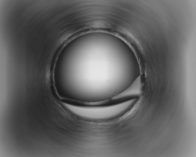 X0000091731065200709141221