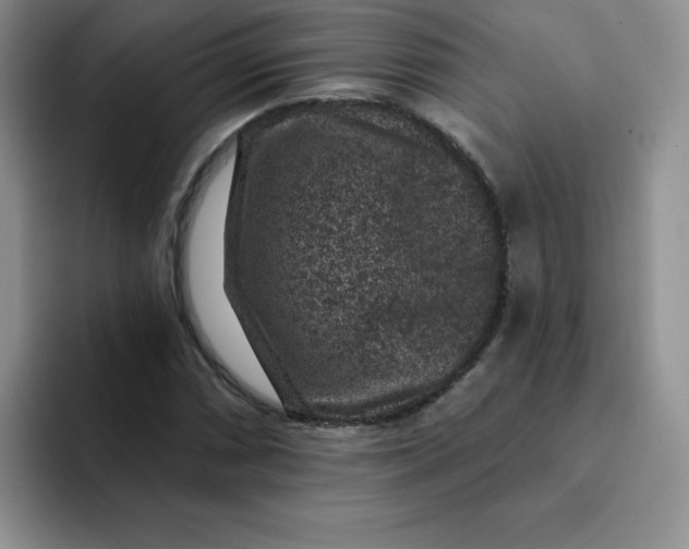 X0000091731066200709141221