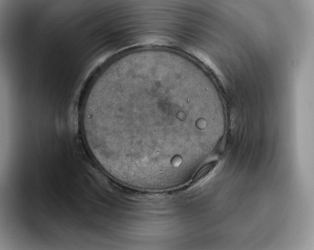 X0000091731067200709141221