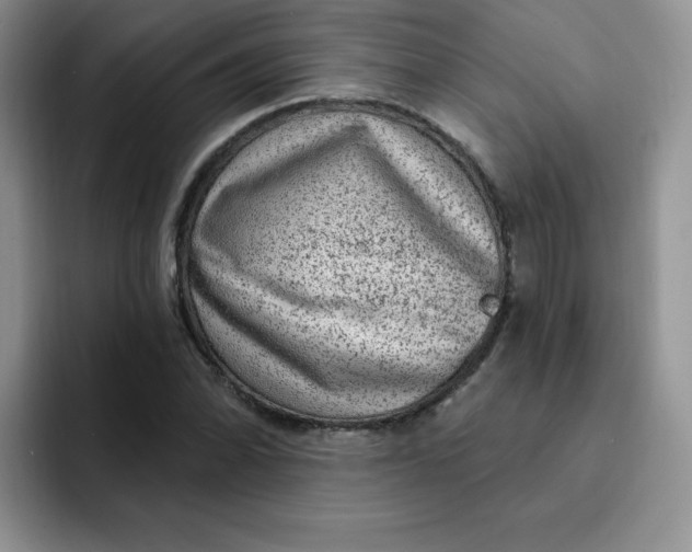 X0000091731070200709141221