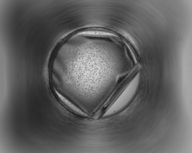 X0000091731072200709141221