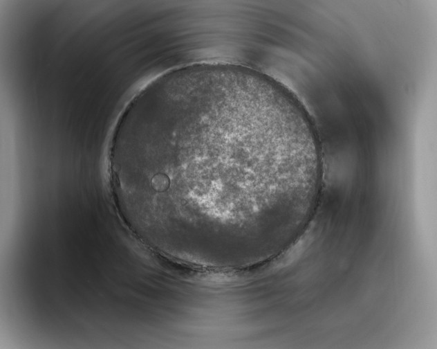 X0000091731074200709141221