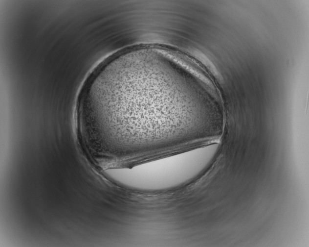 X0000091731076200709141221