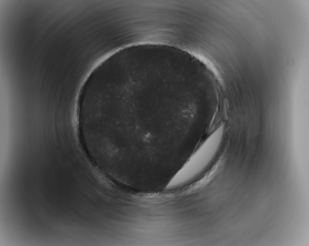 X0000091731077200709141221