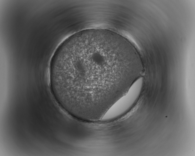 X0000091731079200709141221