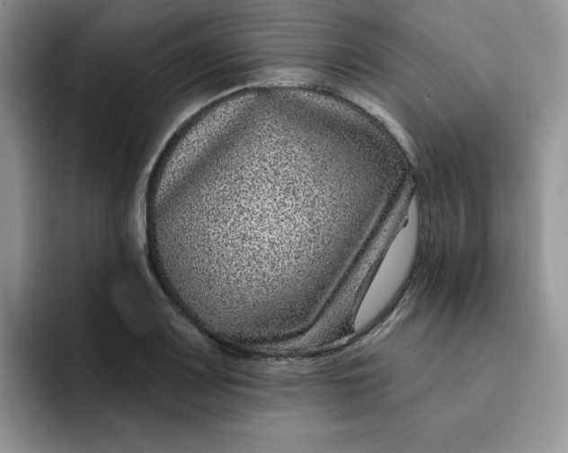 X0000091731083200709141221