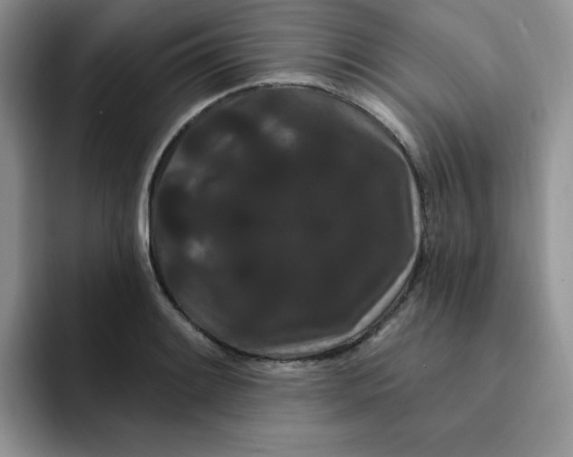 X0000091731084200709141221