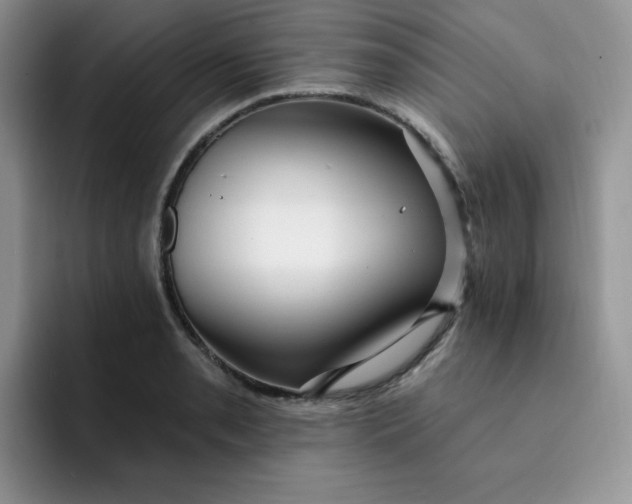 X0000091731085200709141221