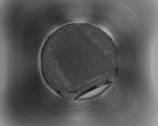 X0000091731088200709141221