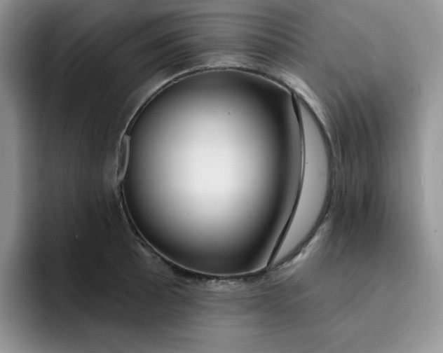 X0000091731089200709141221