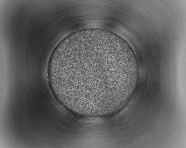 X0000091731090200709141220