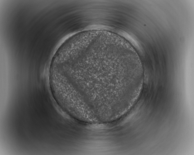 X0000091731094200709141220