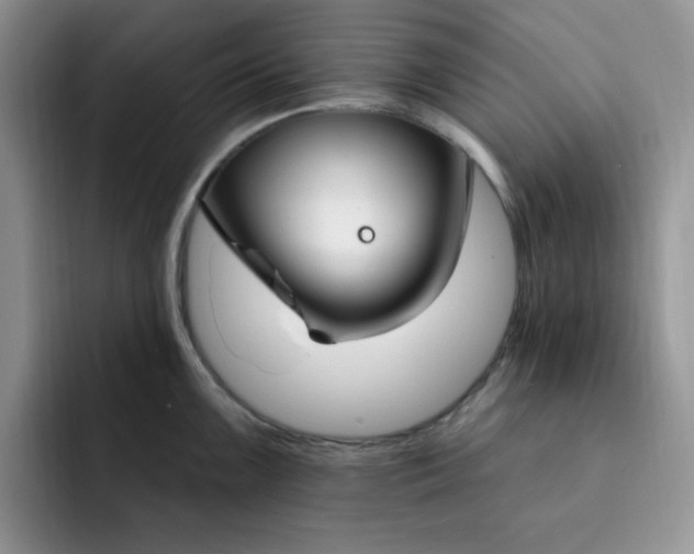 X0000091731099200709141220