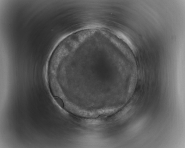 X0000091731103200709141220