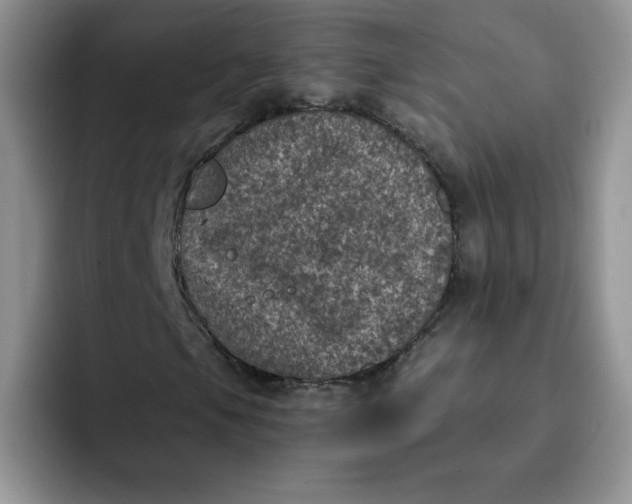 X0000091731105200709141220