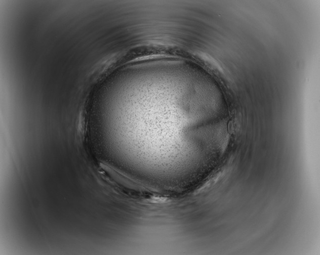 X0000091731110200709141220