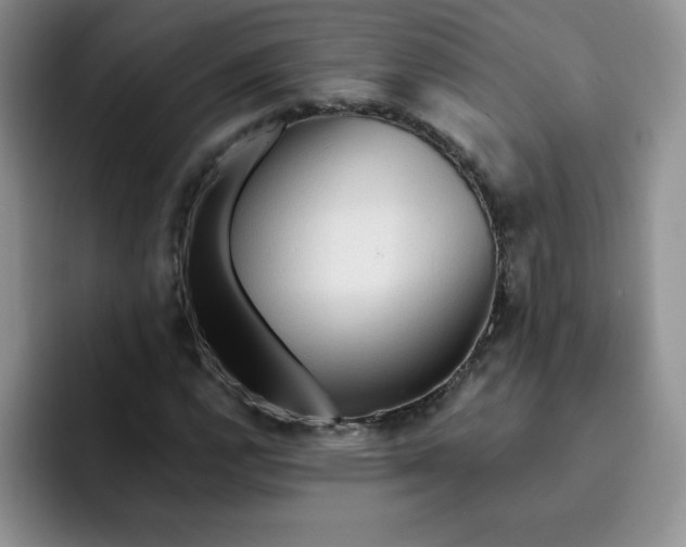 X0000091731112200709141220