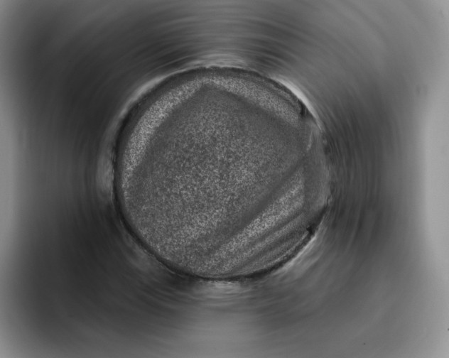 X0000091731115200709141220