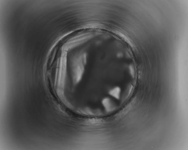 X0000091731117200709141220