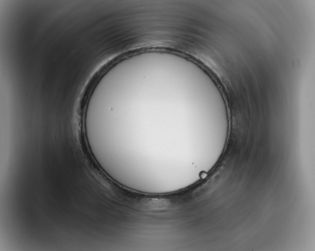 X0000091731119200709141220