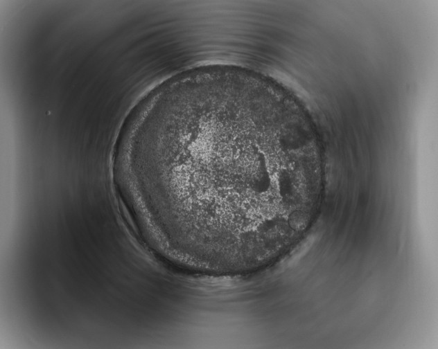 X0000091731121200709141220