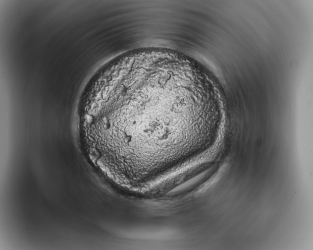 X0000091731125200709141220