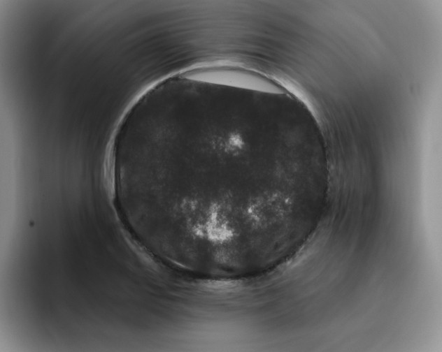 X0000091731127200709141220