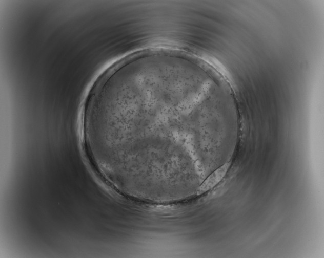 X0000091731128200709141220