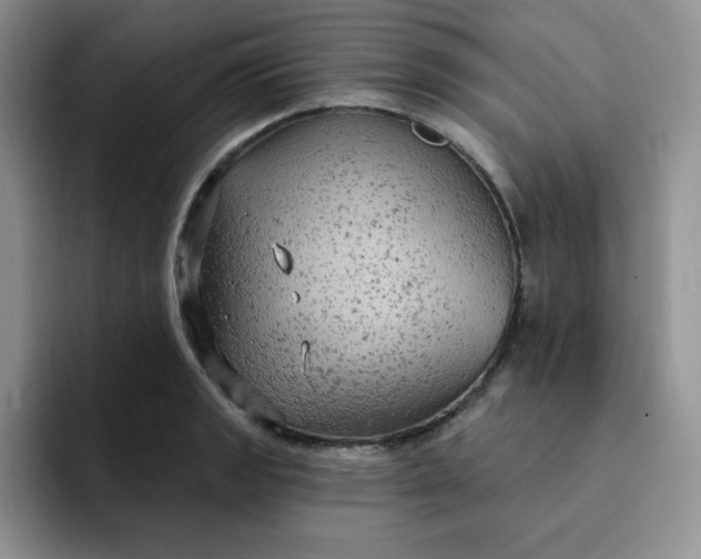 X0000091731133200709141220