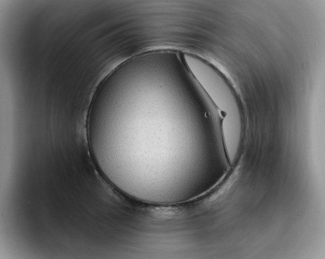 X0000091731137200709141220