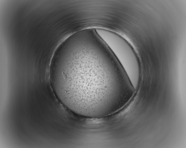 X0000091731145200709141220