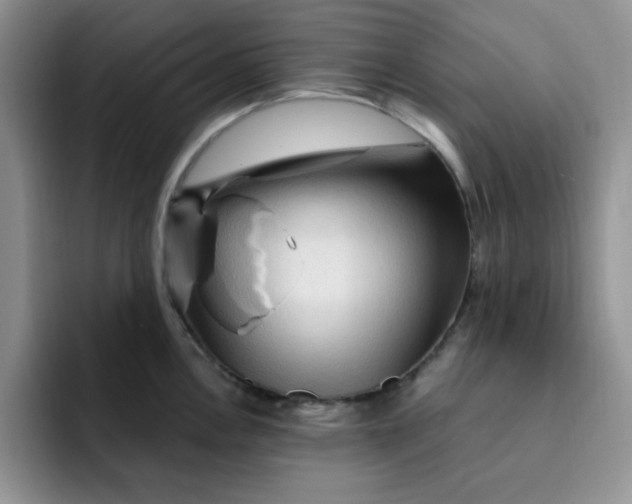 X0000091731146200709141220