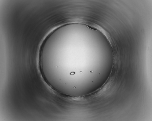 X0000091731147200709141220