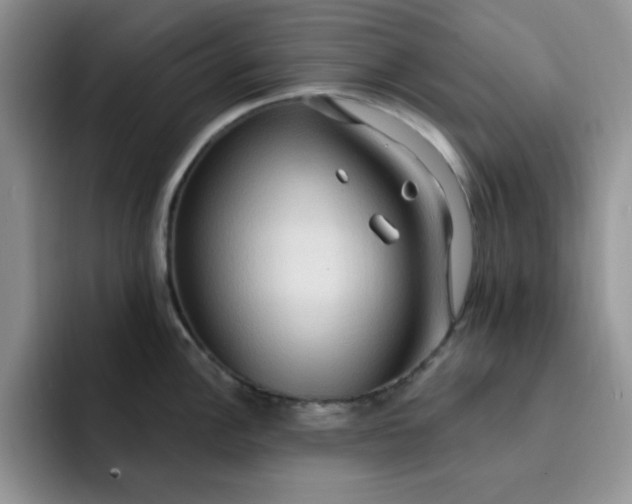 X0000091731148200709141220