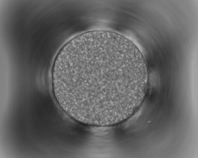 X0000091731150200709141220