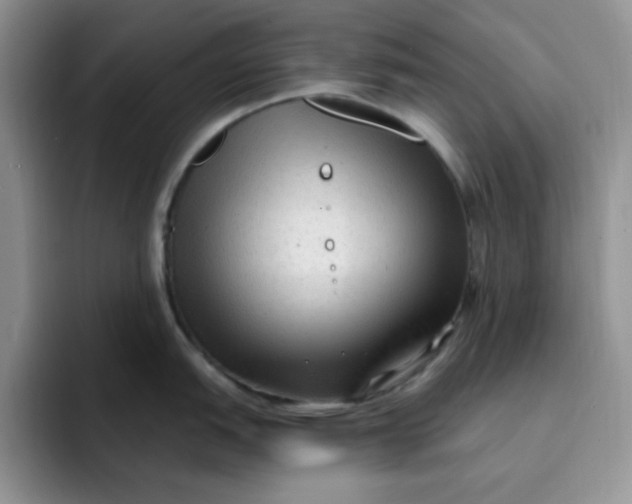 X0000091731151200709141220