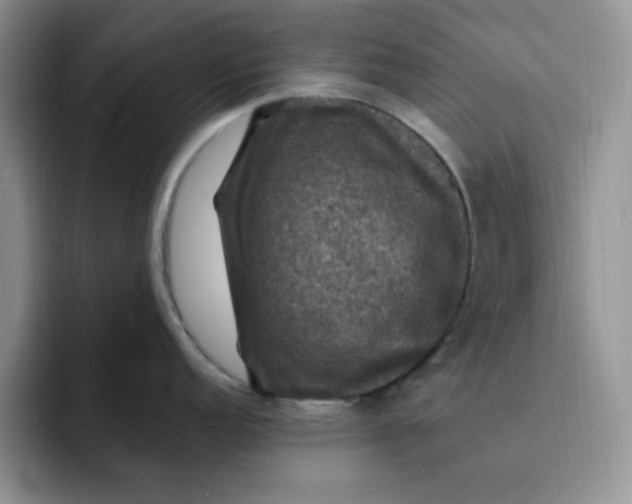 X0000091731152200709141220