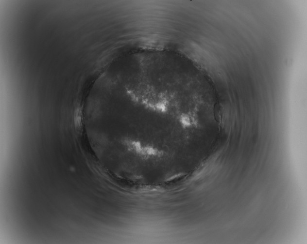 X0000091731154200709141220